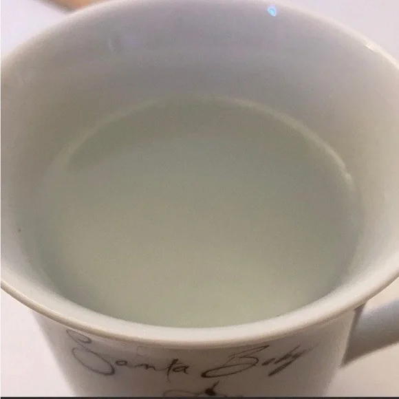 (1) SANTA BABY CHRISTMAS Holiday Coffee Mug Tea Cup Pottery Barn Sleeping Car - Picture 6 of 6